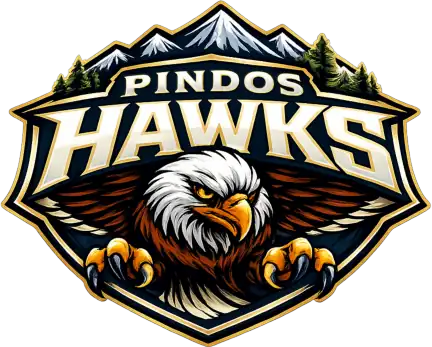 Pindos Hawks logo